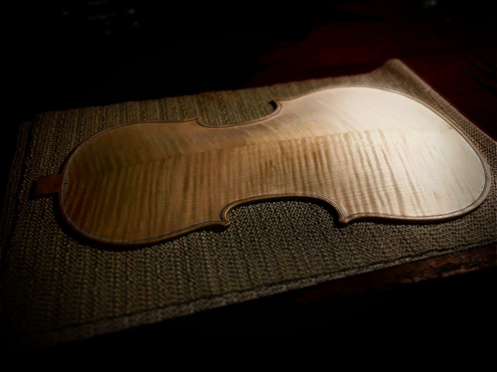 B57234F6-24DF-4735-B339-66A61AE69989 https://lombardiviolins.mom/wp-content/uploads/2024/04/B57234F6-24DF-4735-B339-66A61AE69989.jpg